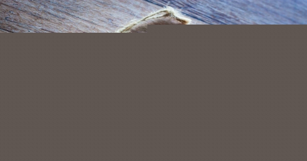 「在一起越久會感受到他越來越深情的星座男」交到這種男友真的是賺到！