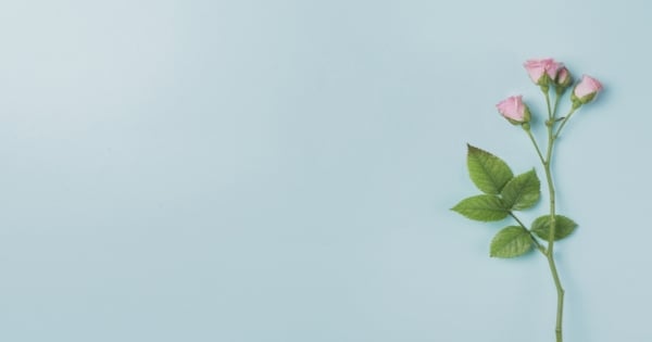 「每天都在懷疑錢包破洞」，十二星座的錢到底花到哪裡去了！