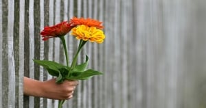 十二星座男藏在內心最深處的那些秘密！外表看似好人，難道其實都在想壞壞的事！？