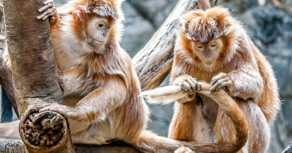 十二星座和誰「談戀愛」絕對能「長長久久」？他就是你命中注定的對的人！