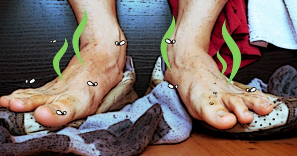 【這是一篇搞笑文，但是好準】當12星座遇上同事有超級「腳臭」的反應……天秤默默忍耐不敢說，射手跟水瓶真的很賤！