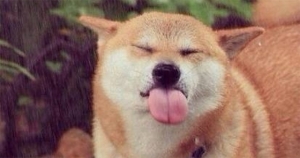 「可愛又可恨!」總是不冷不熱、忽冷忽熱的水瓶座,他們到底在想什麼!