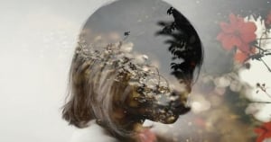 摸不透卻愛的真誠！這5大星座「很難」讓人走進他們的內心世界，但一進去你會捨不得離開！
