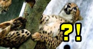 什麼都行就是別讓我看到這個！12星座覺得什麼「最可怕」？