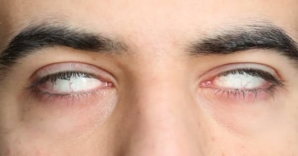 這3種人注定成為獅子座的敵人，別想踏入獅子座的生活任何一步！